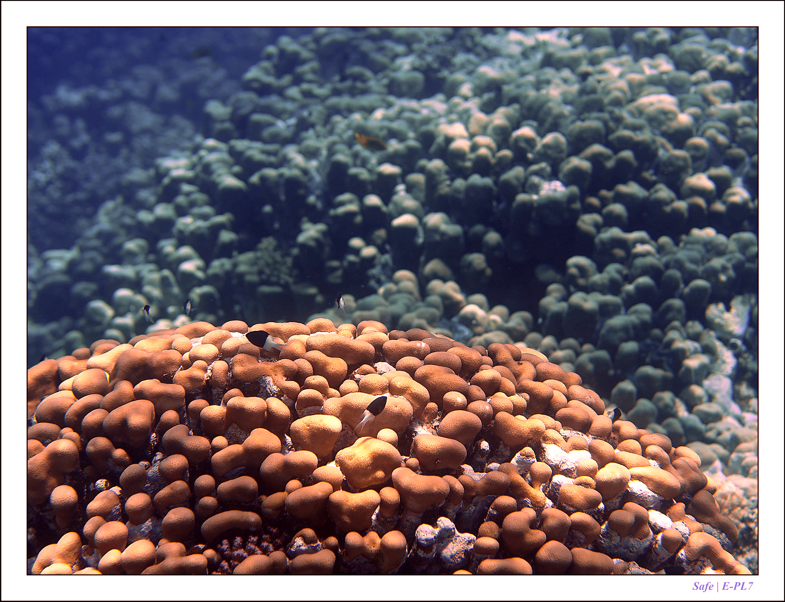 Hurghada - Juillet 2021 - 095